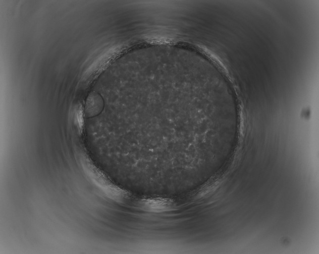 X0000115720069200912031600