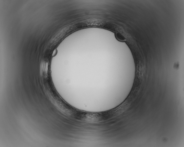 X0000115720070200912031600
