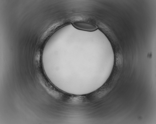 X0000115720072200912031600