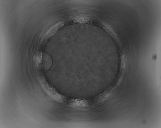 X0000115720073200912031600