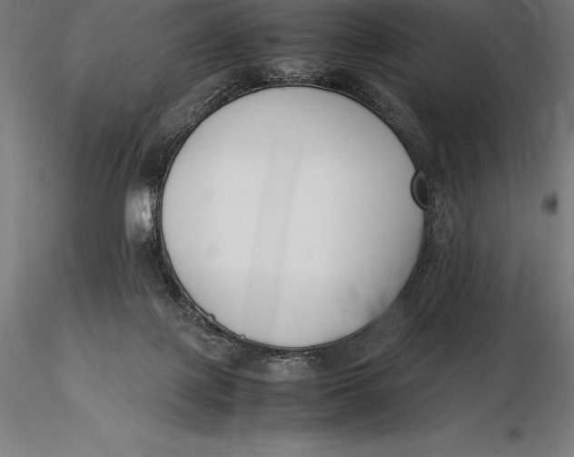X0000115720075200912031601