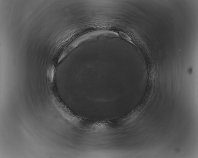 X0000115720076200912031601