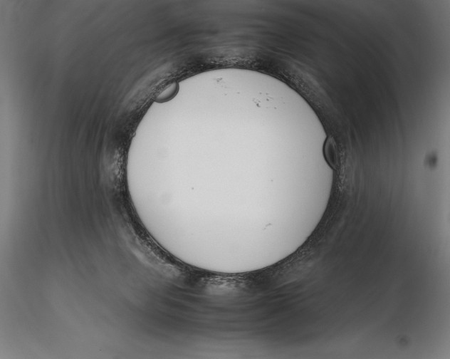 X0000115720077200912031601
