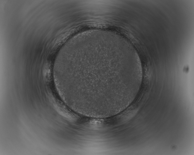 X0000115720080200912031601