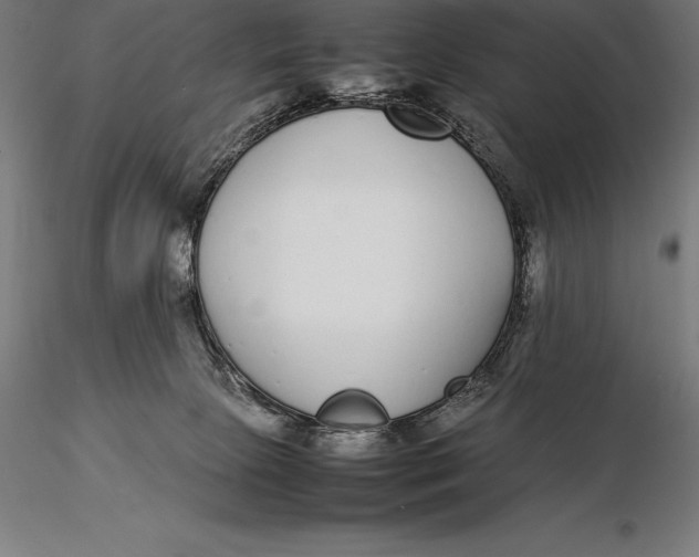 X0000115720081200912031601