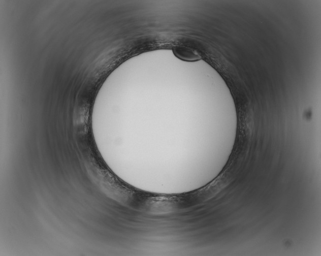 X0000115720082200912031601