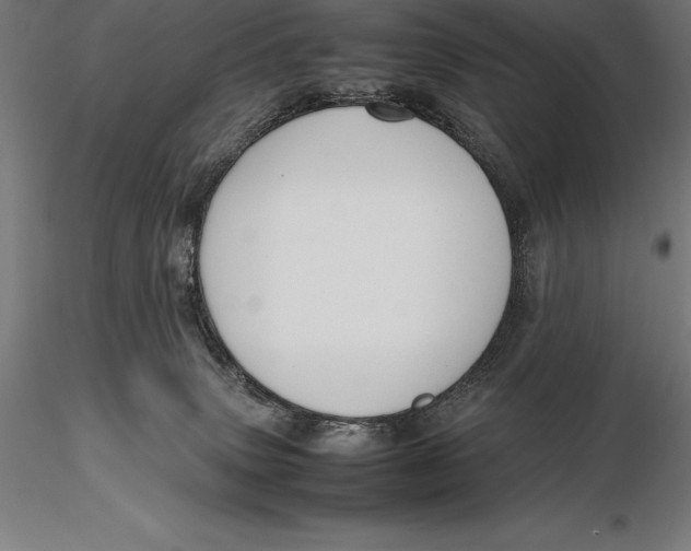 X0000115720083200912031601