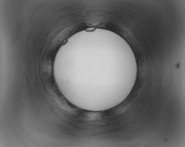 X0000115720085200912031601