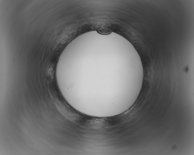 X0000115720086200912031601