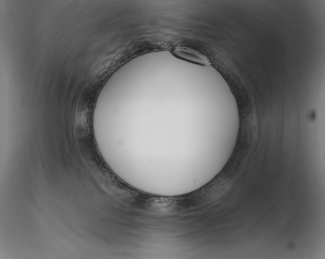 X0000115720088200912031601