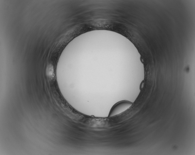 X0000115720089200912031601
