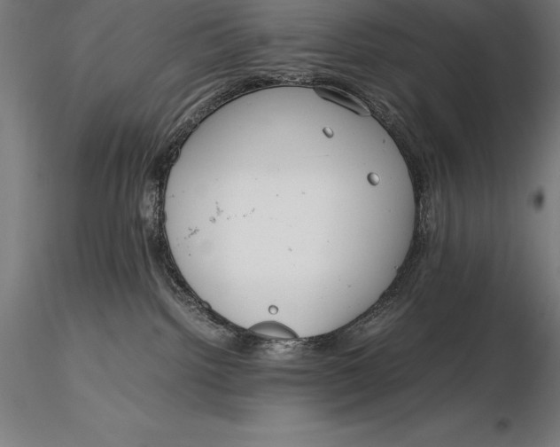 X0000115720092200912031601