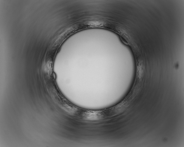 X0000115720093200912031601