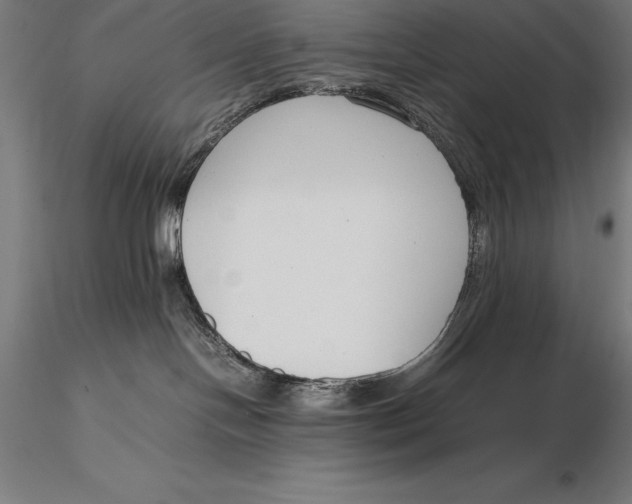 X0000115720094200912031601
