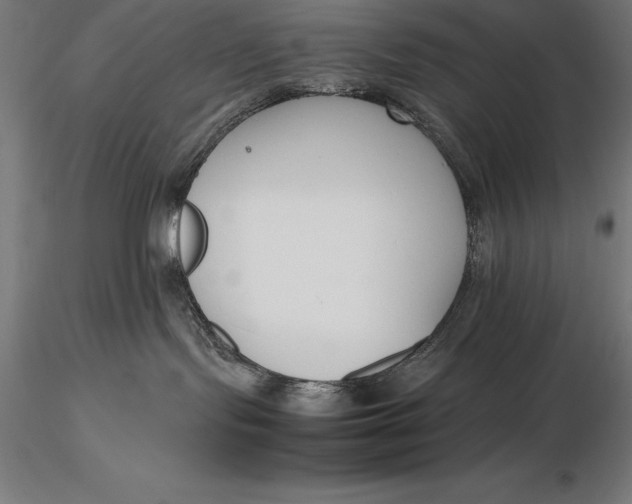 X0000115720095200912031601