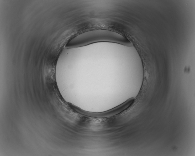 X0000115720096200912031601