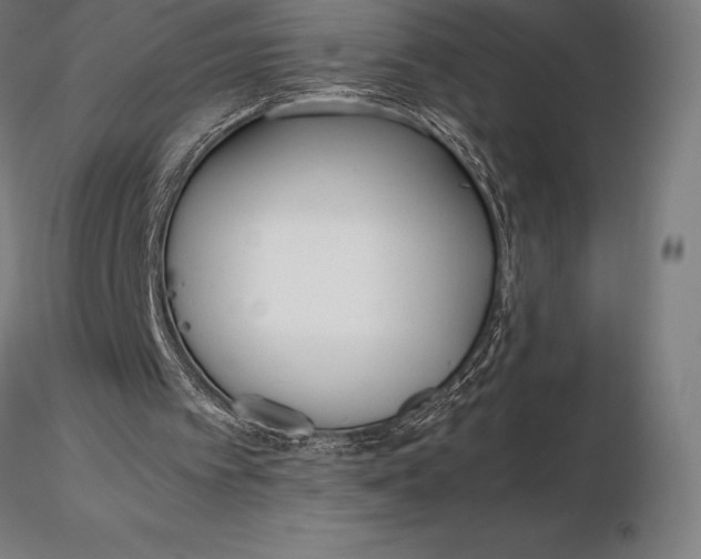 X0000115720097200912031600