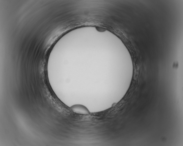 X0000115720098200912031600