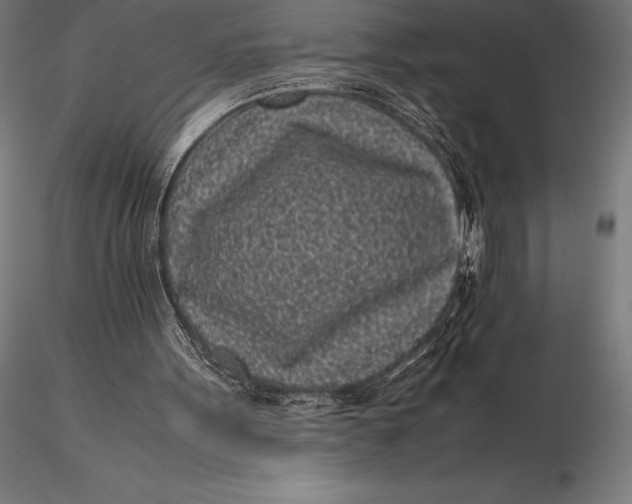 X0000115720099200912031600