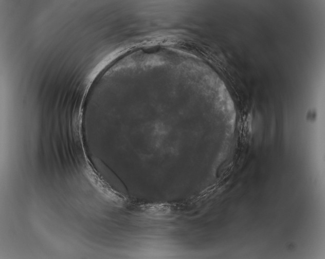 X0000115720100200912031600