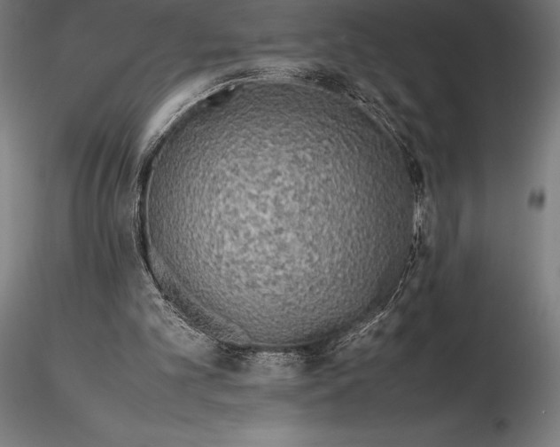 X0000115720101200912031600