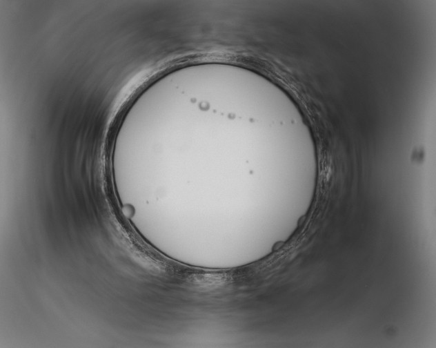 X0000115720102200912031600