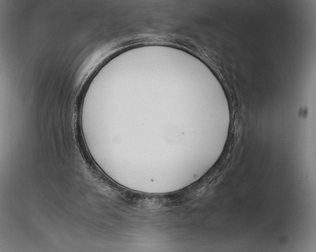X0000115720103200912031600