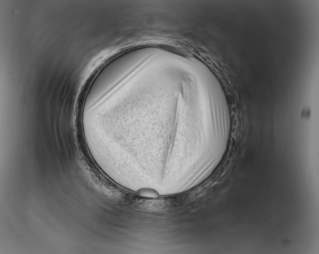 X0000115720104200912031600