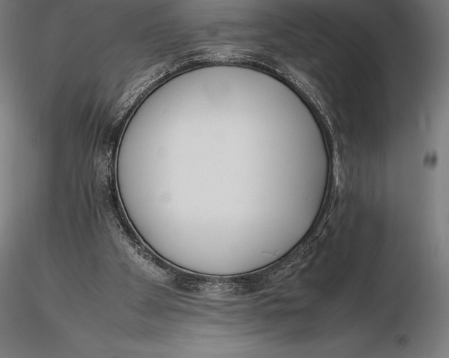 X0000115720105200912031600