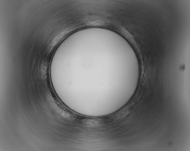 X0000115720106200912031600