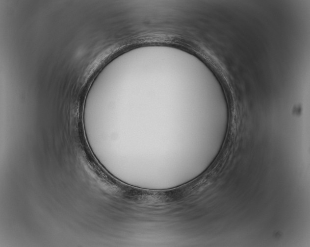 X0000115720107200912031600