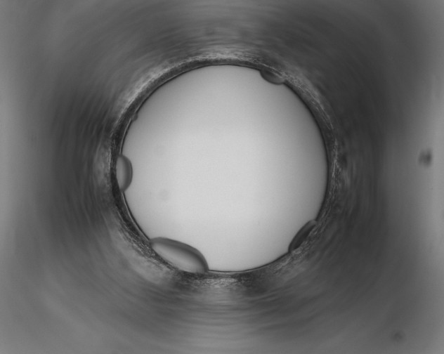 X0000115720108200912031600