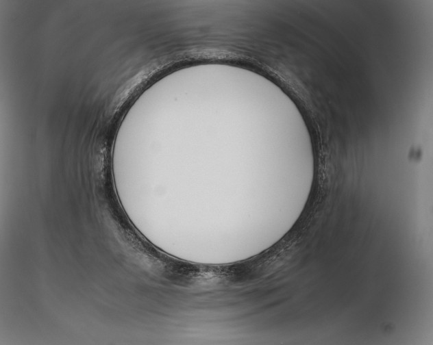 X0000115720111200912031600