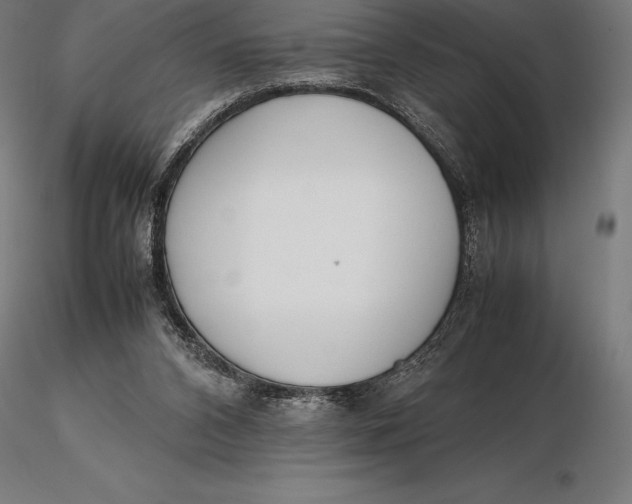 X0000115720112200912031600
