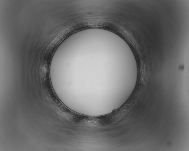 X0000115720113200912031600