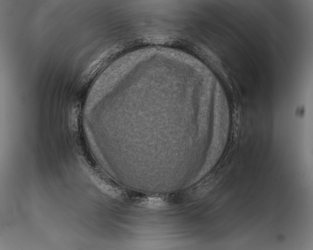 X0000115720114200912031600