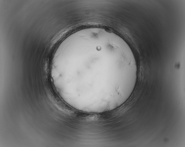 X0000115720116200912031559