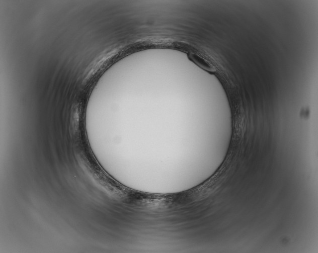 X0000115720120200912031559