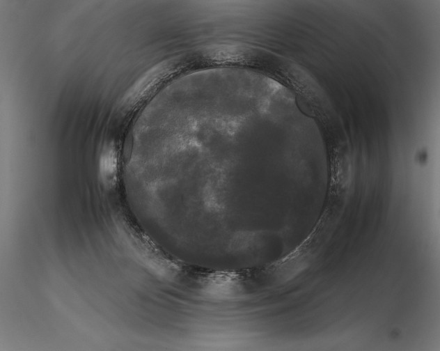 X0000115720124200912031559
