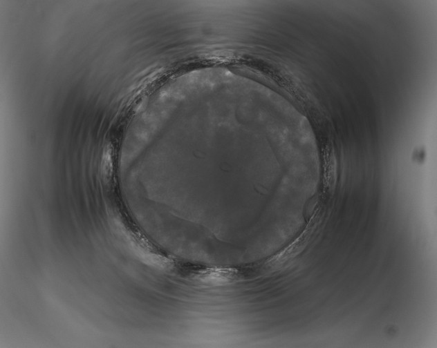 X0000115720128200912031559