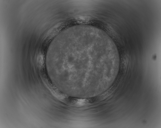 X0000115720130200912031559