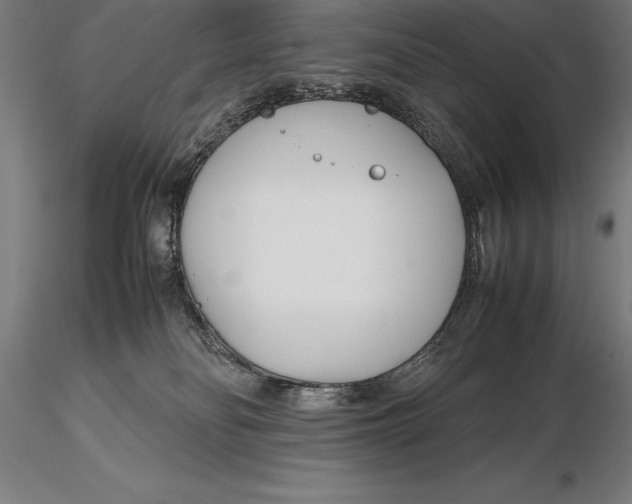 X0000115720134200912031559