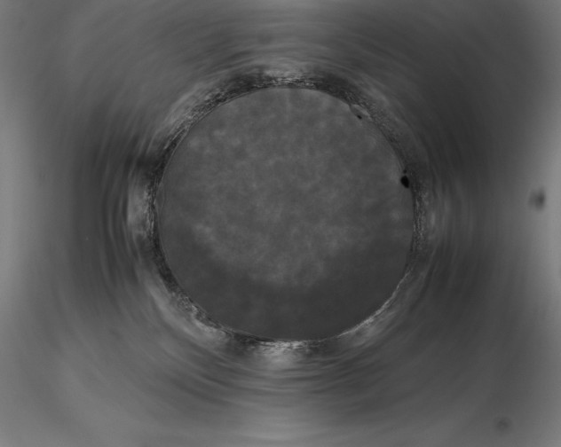 X0000115720136200912031559