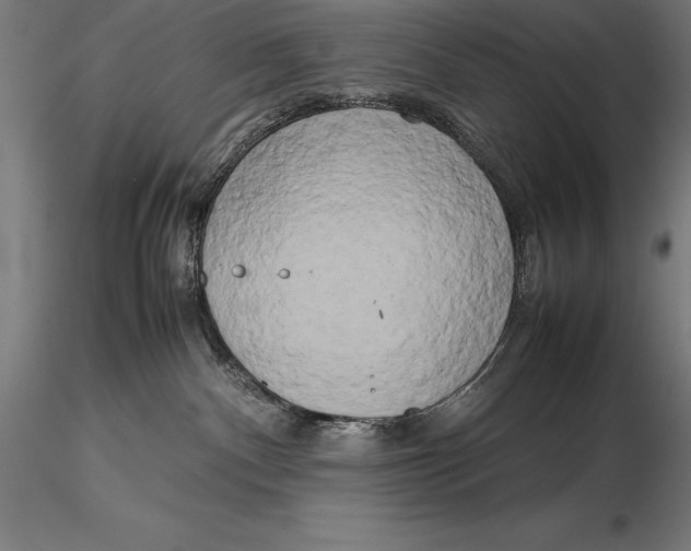 X0000115720140200912031559
