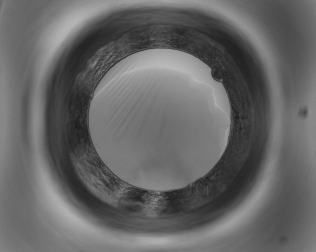 X0000115720143200912031559