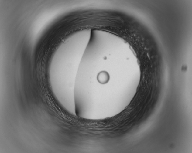 X0000115720146200912031558