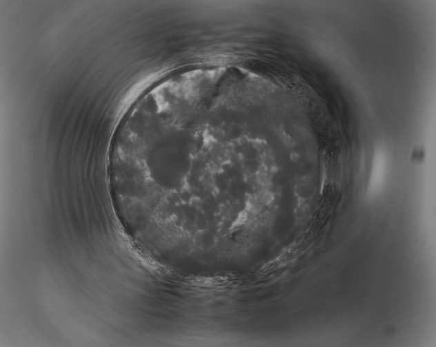 X0000115720147200912031558