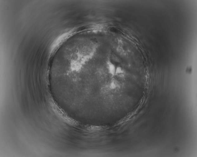 X0000115720149200912031558
