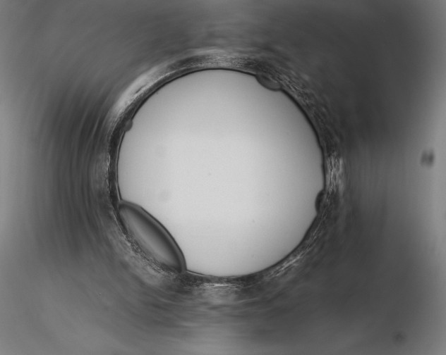 X0000115720150200912031558