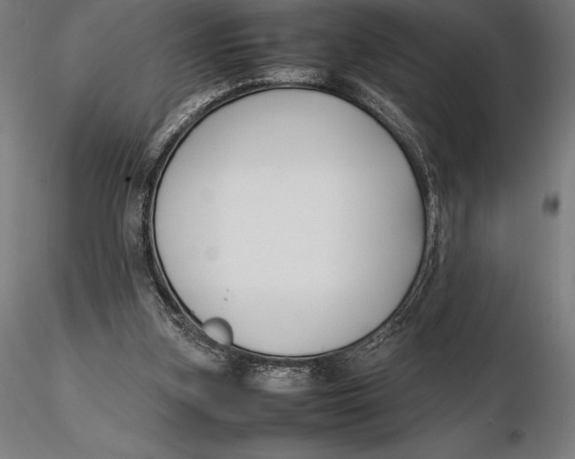 X0000115720155200912031558